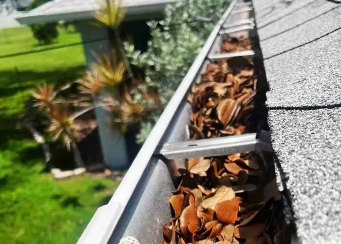 Greenbelt gutter cleaning home page